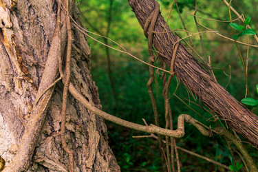 Similar image 21748873