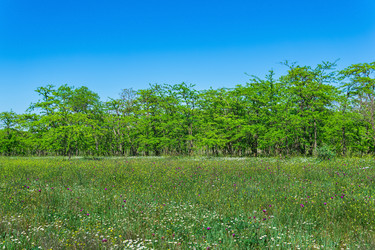 Similar image 21749609