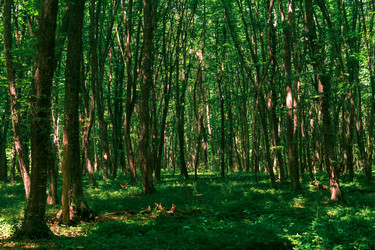 Similar image 21749633