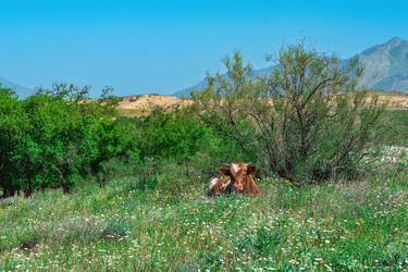 Similar image 21746348