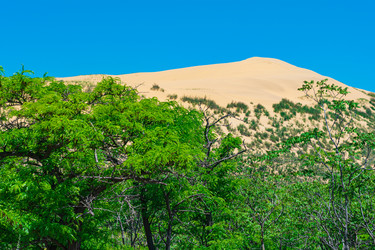 Similar image 21746462