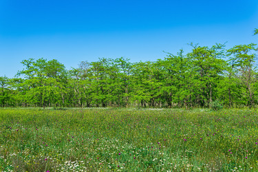 Similar image 21746487