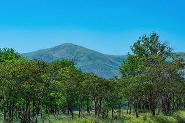 Similar image 21746489