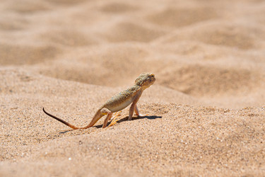 Similar image 21746491