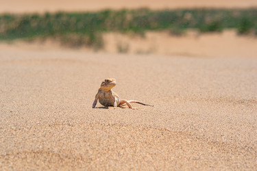 Similar image 21746495