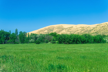 Similar image 21746639