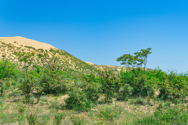 Similar image 21746643