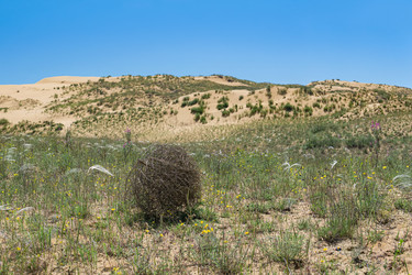 Similar image 21746665