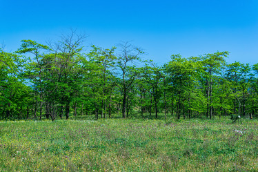 Similar image 21746869