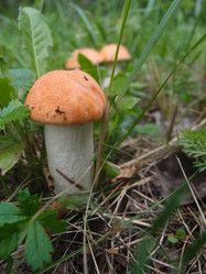 Similar image 21746051