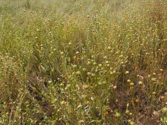 Similar image 21746053