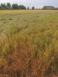 Similar image 21746055