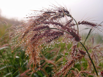 Similar image 21746062