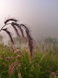 Similar image 21746064