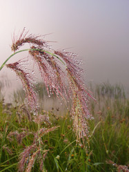 Similar image 21746065