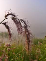 Similar image 21746066