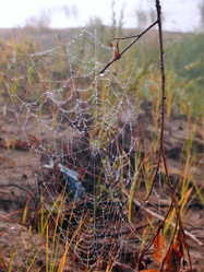 Similar image 21746069