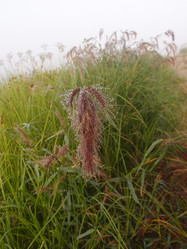 Similar image 21746071