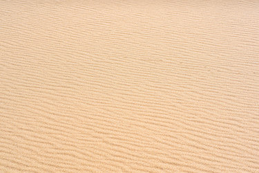 Similar image 21750349