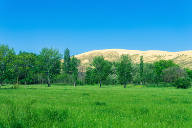 Similar image 21750948