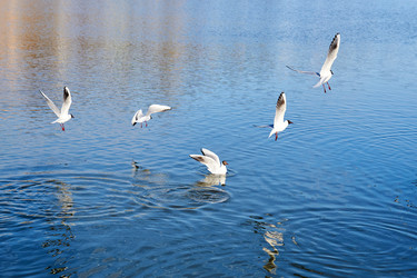 Similar image 21750949