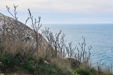 Similar image 21746679