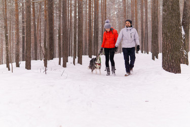 Similar image 21754023