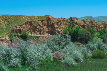 Similar image 21746695