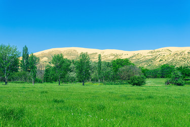 Similar image 21748481