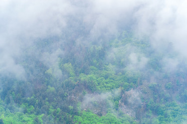 Similar image 21748497