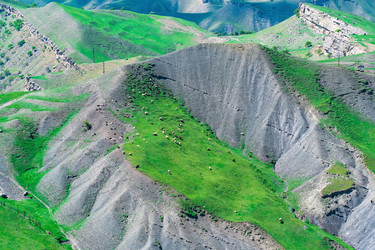 Similar image 21748904