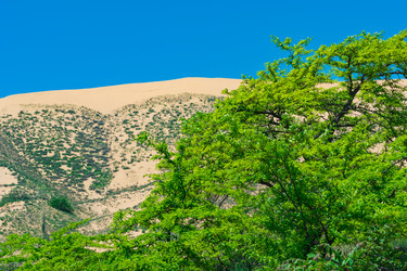 Similar image 21748915