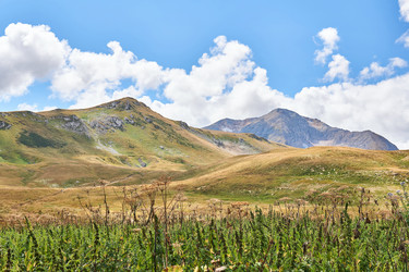 Similar image 21748928