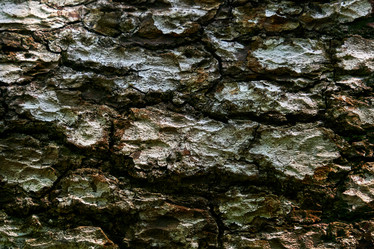 Similar image 21748934