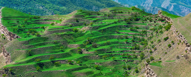 Similar image 21748941