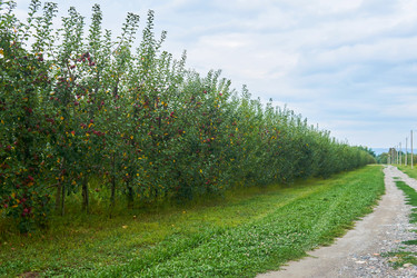 Similar image 21748974