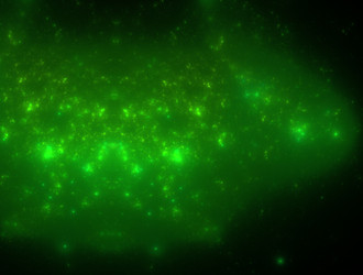 Similar image 21759340