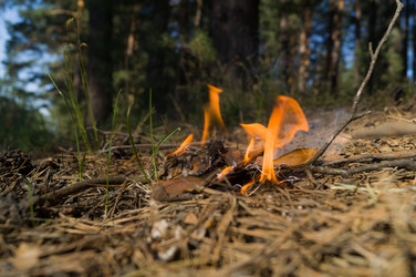 Similar image 21747174