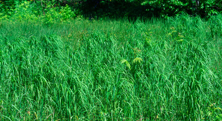 Similar image 21748980