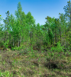 Similar image 21748982