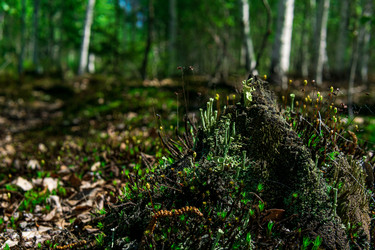 Similar image 21748983