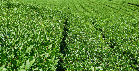 Similar image 21748990