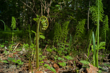 Similar image 21750115