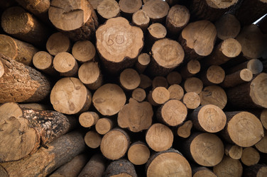 Similar image 21747185