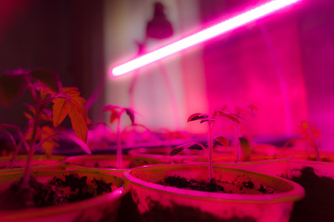 Similar image 21747188