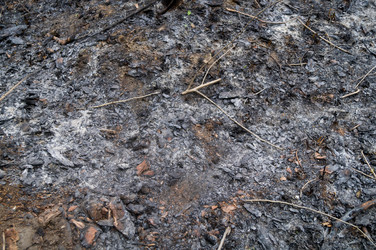 Similar image 21750117