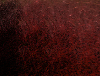 Similar image 21759809