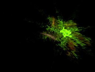 Similar image 21759812