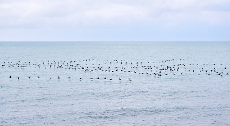 Similar image 21750569