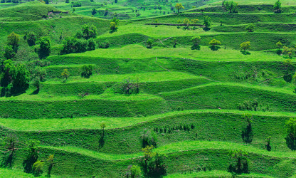 Similar image 21748580